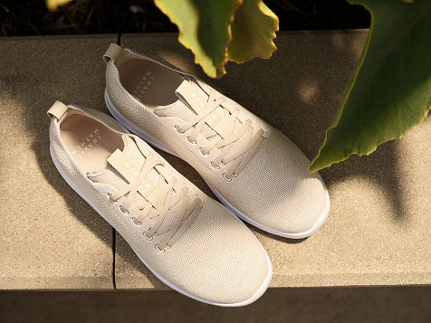 The Daily Collection